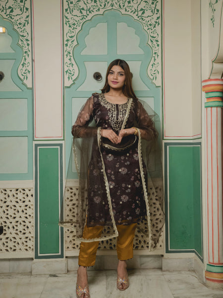 Brown And Golden With Floral Organza Suit Set front view
