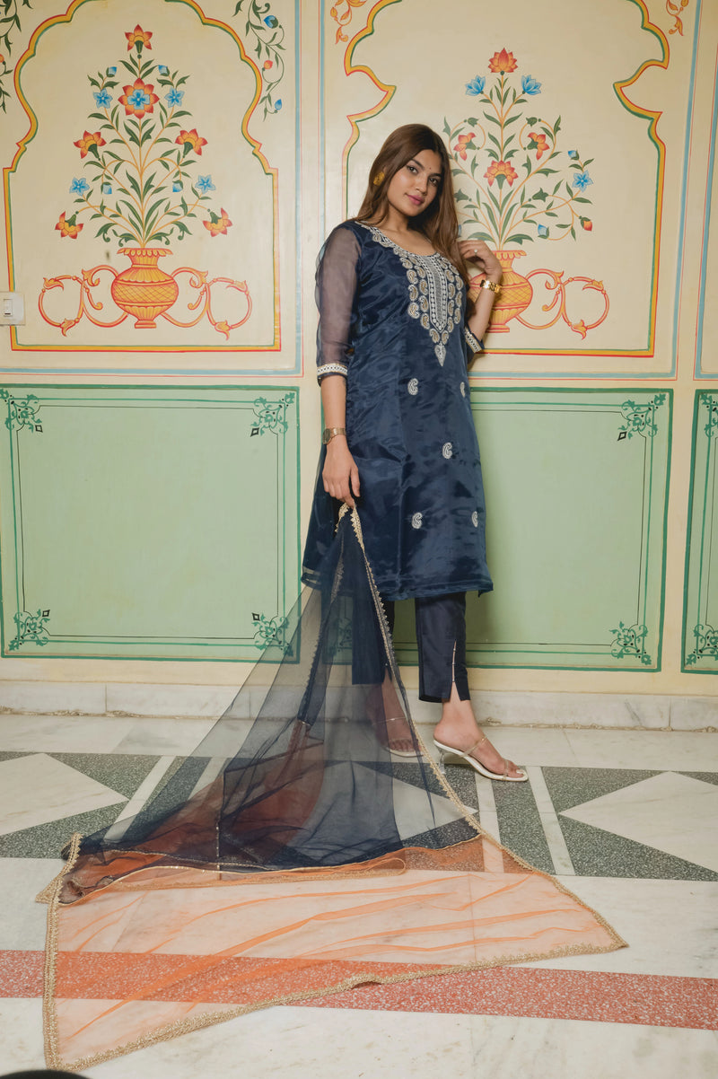 Designer organza kurta set
