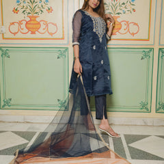 Designer organza kurta set

