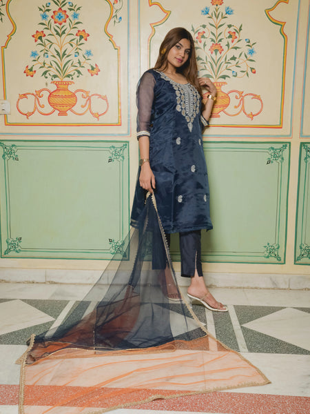 Designer organza kurta set
